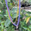 2 Layered Acrylic Neckpiece